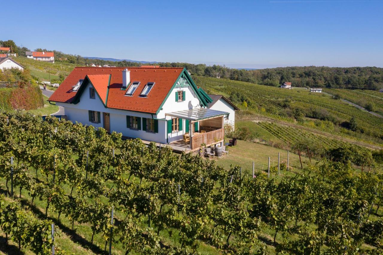 Kellerstoeckl Weinblick I Und II Villa Eisenberg an der Pinka Exterior photo
